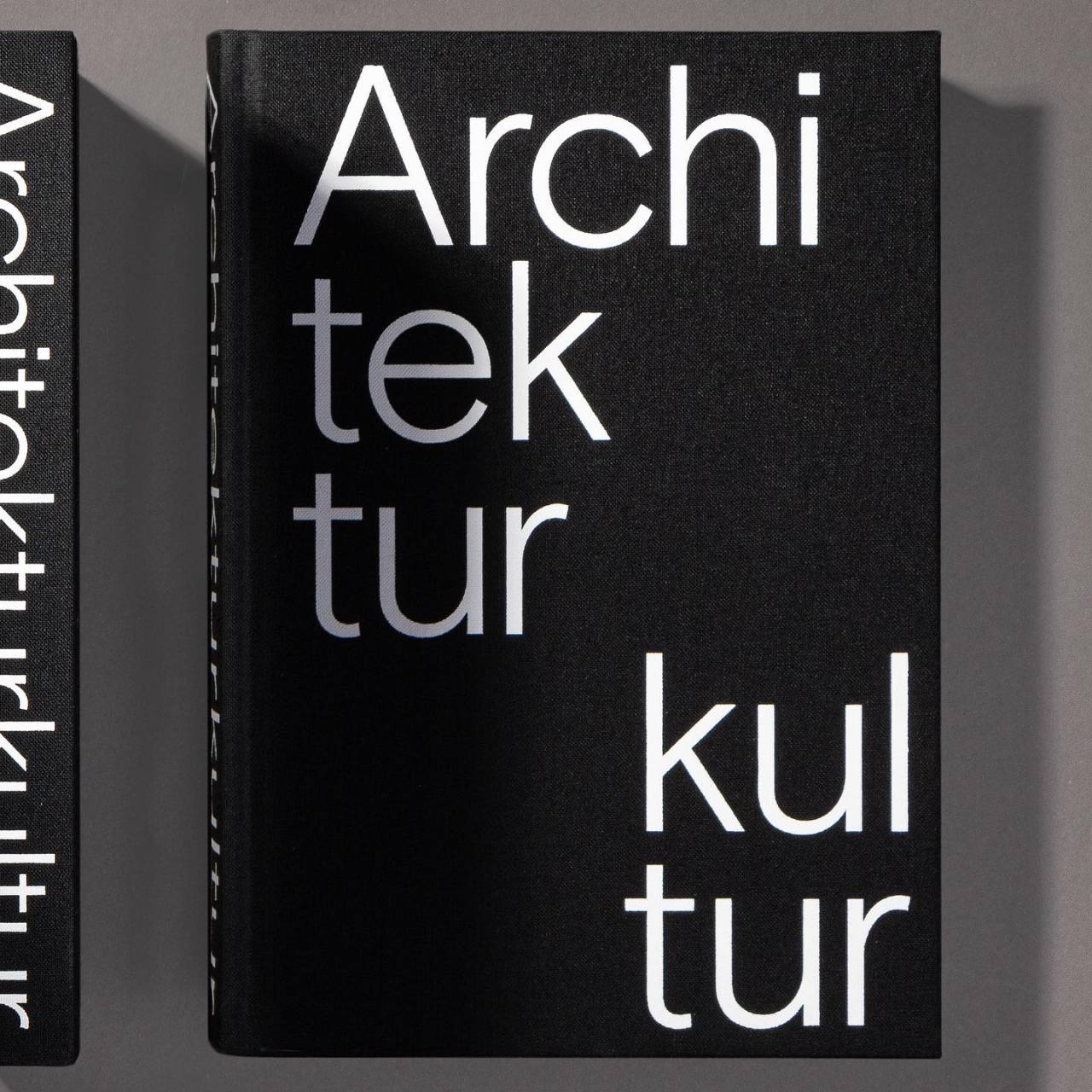 Archillect ID 276733