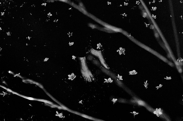 Archillect ID 276737
