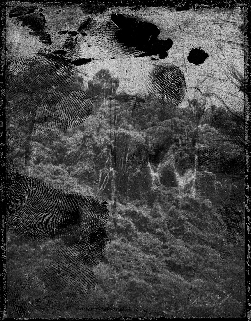 Archillect ID 277042