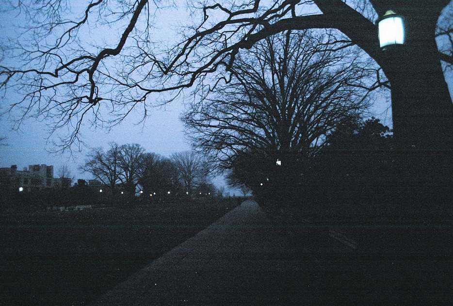 Archillect ID 277255