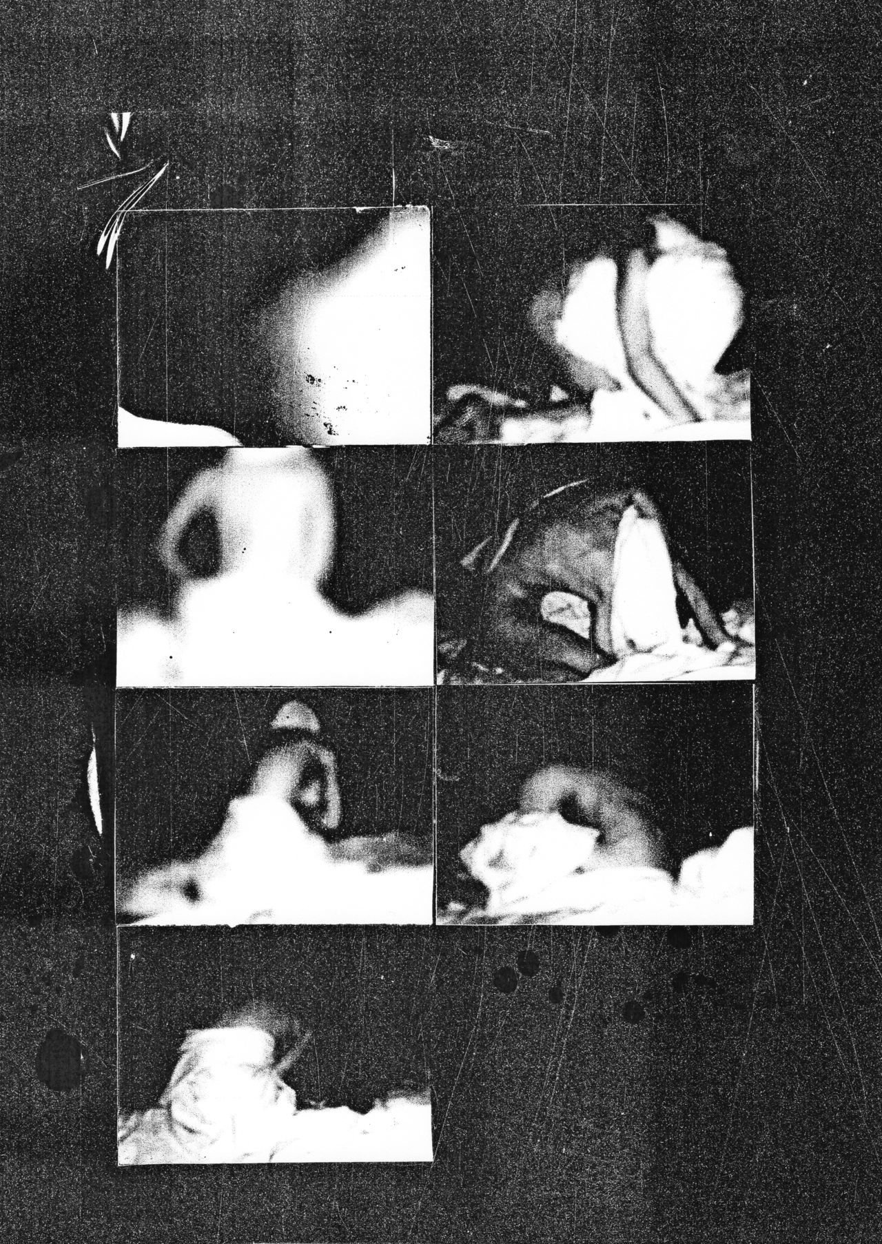 Archillect ID 277415