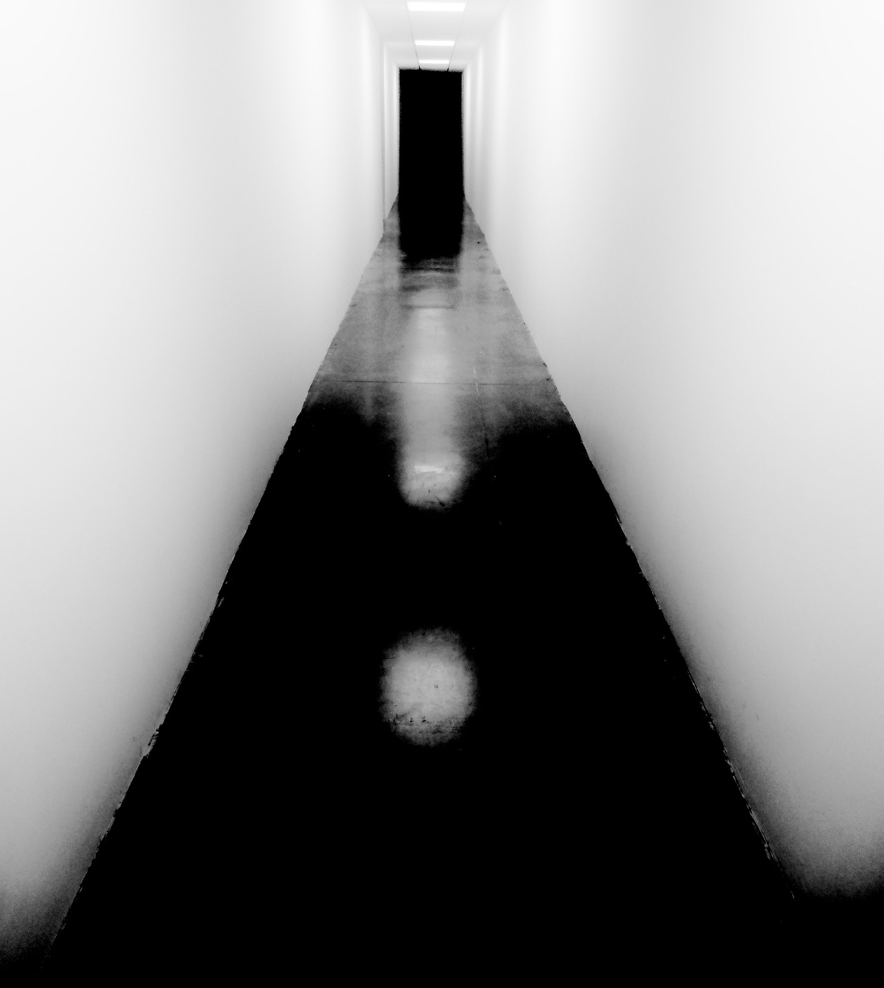 Archillect ID 278341