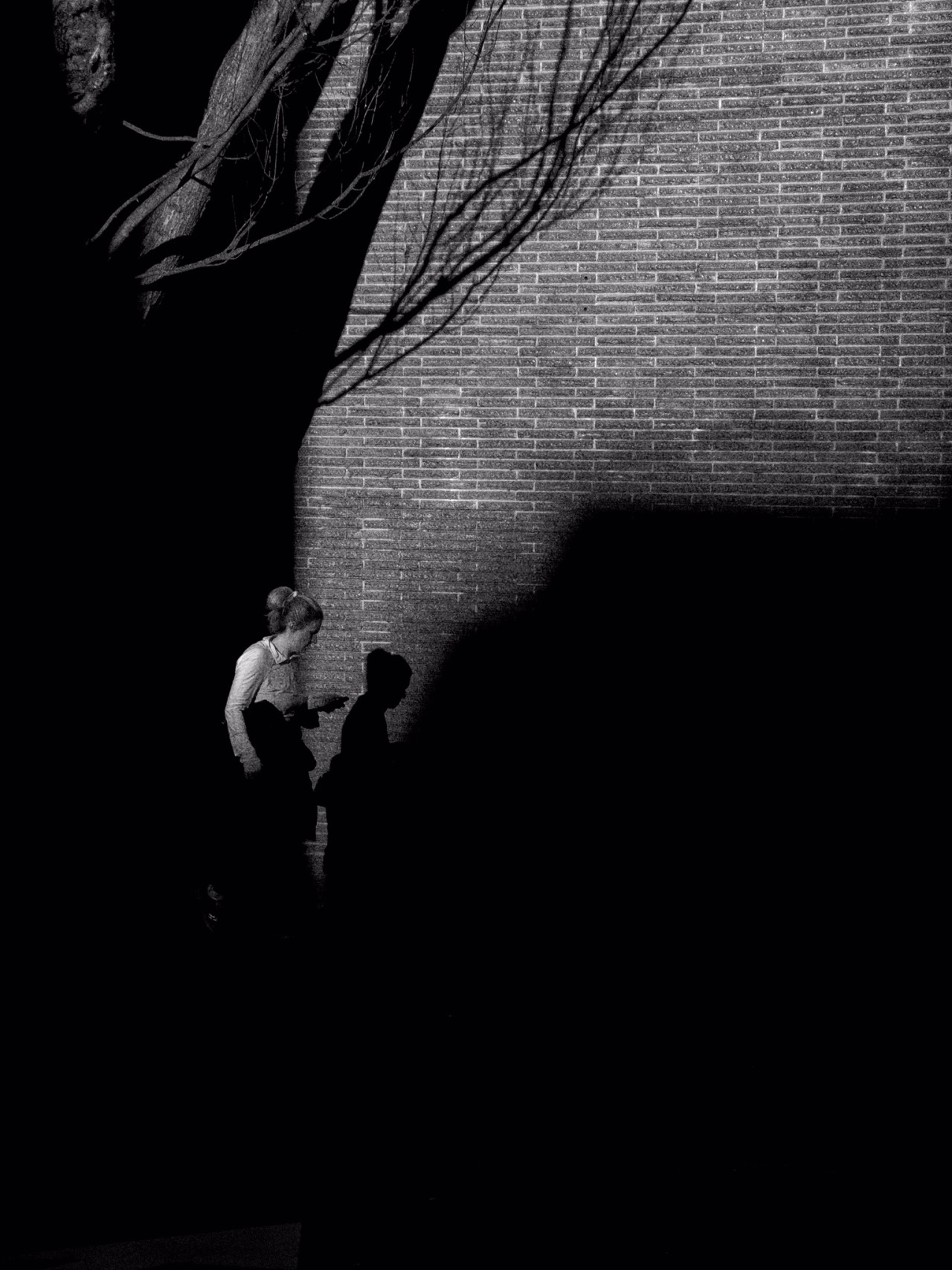 Archillect ID 278994