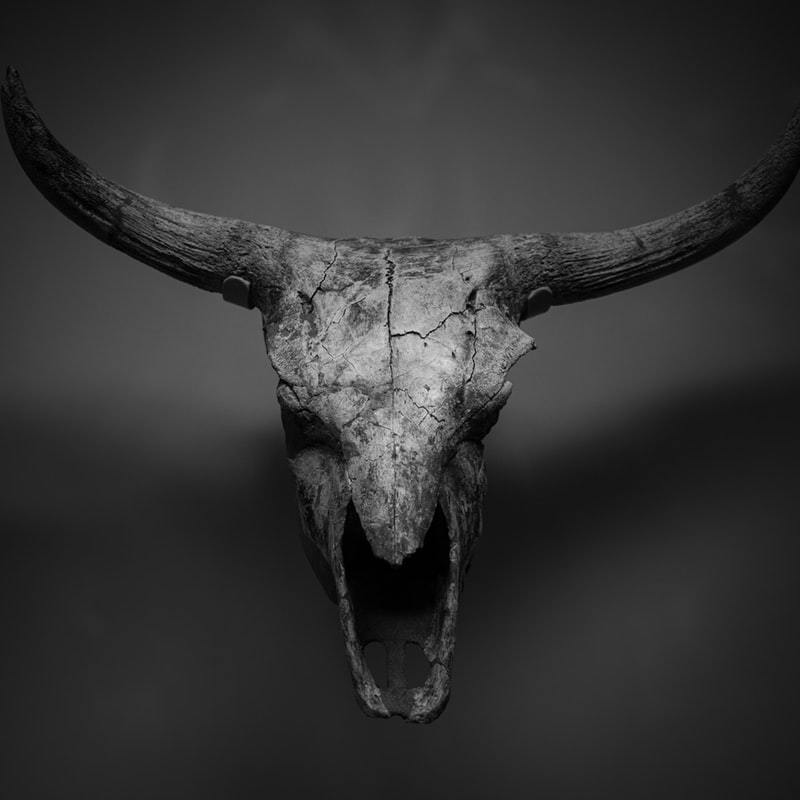 Archillect ID 279022