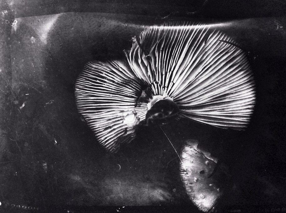 Archillect ID 279228
