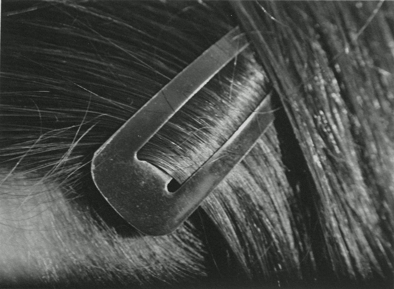 Archillect ID 279373