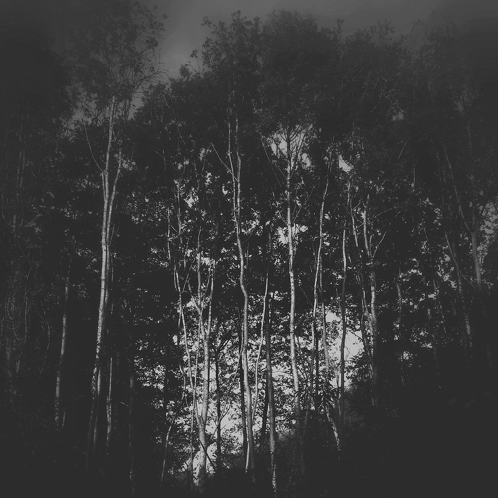 Archillect ID 279928