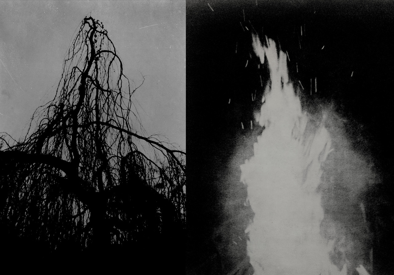 Archillect ID 280211