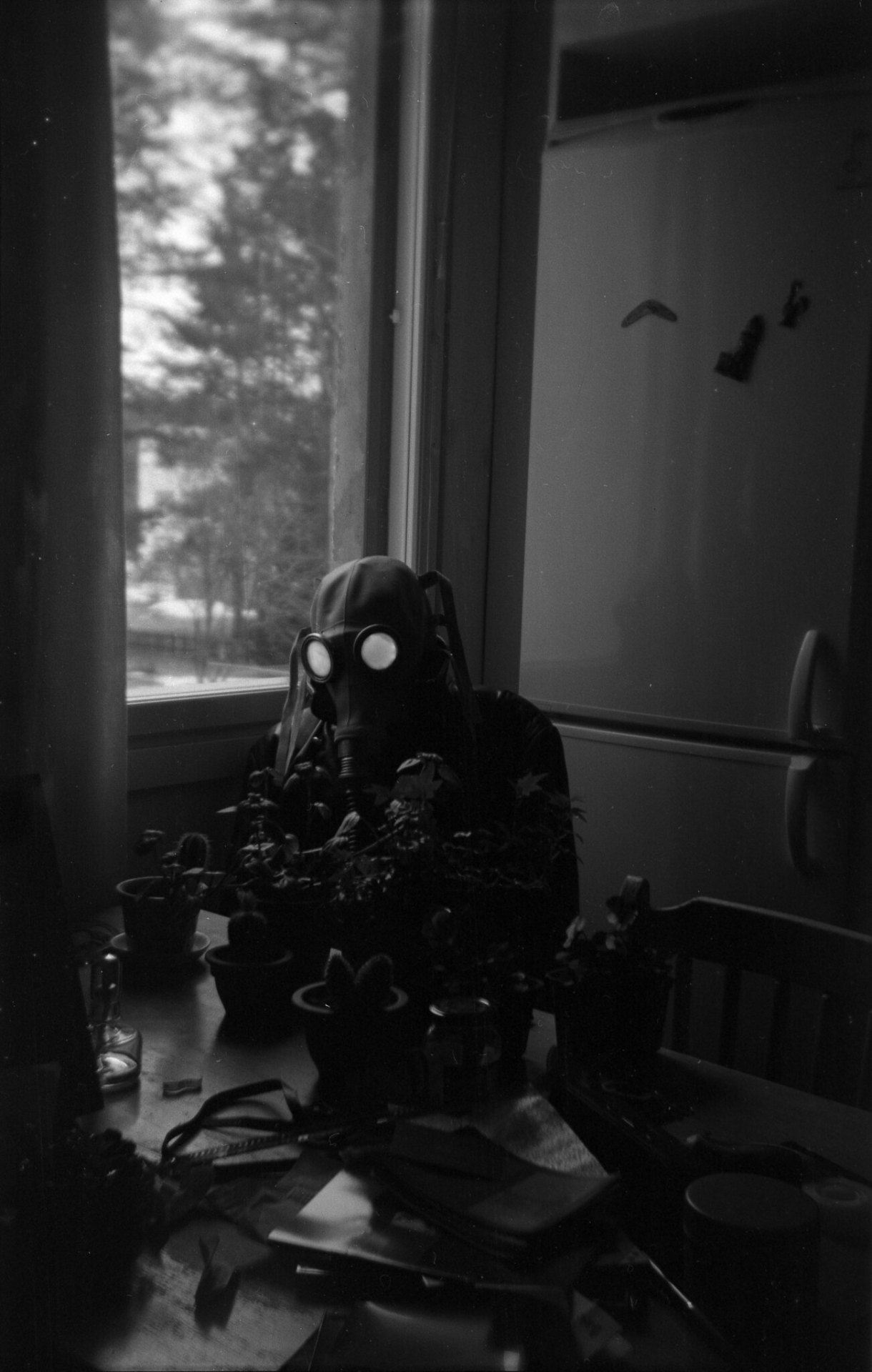 Archillect ID 280305