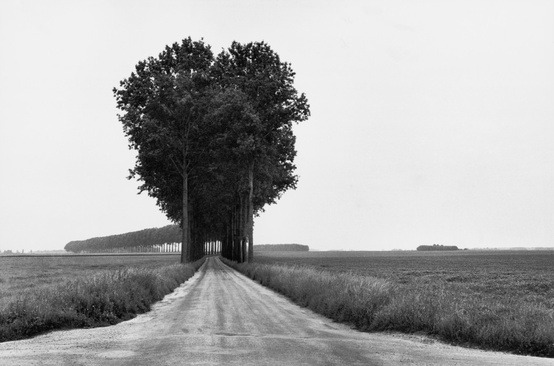 Archillect ID 280364