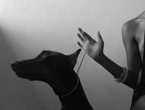 Archillect ID 280381