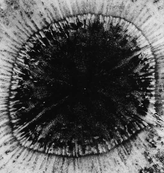Archillect ID 280395