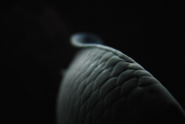 Archillect ID 281019