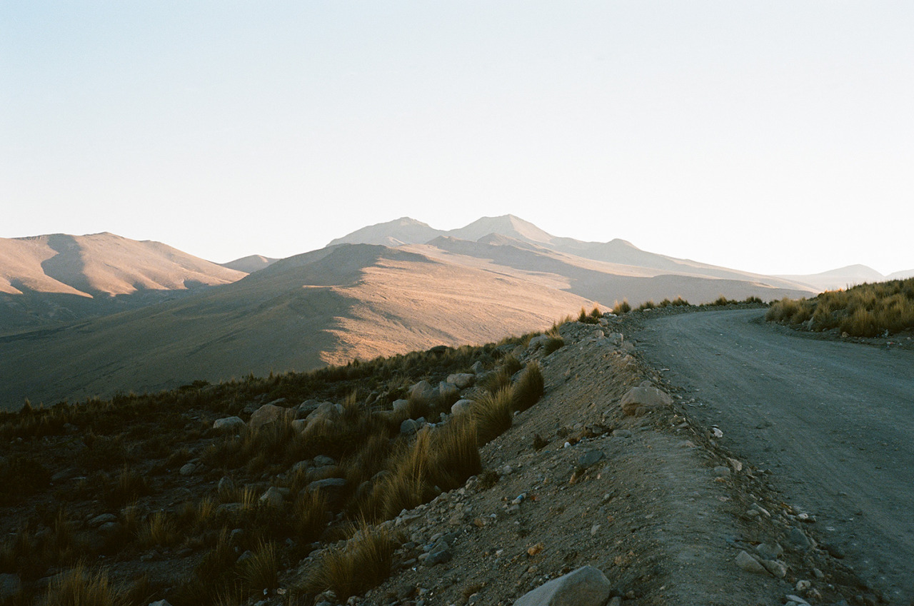Archillect ID 281235