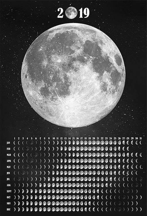 Archillect ID 281447