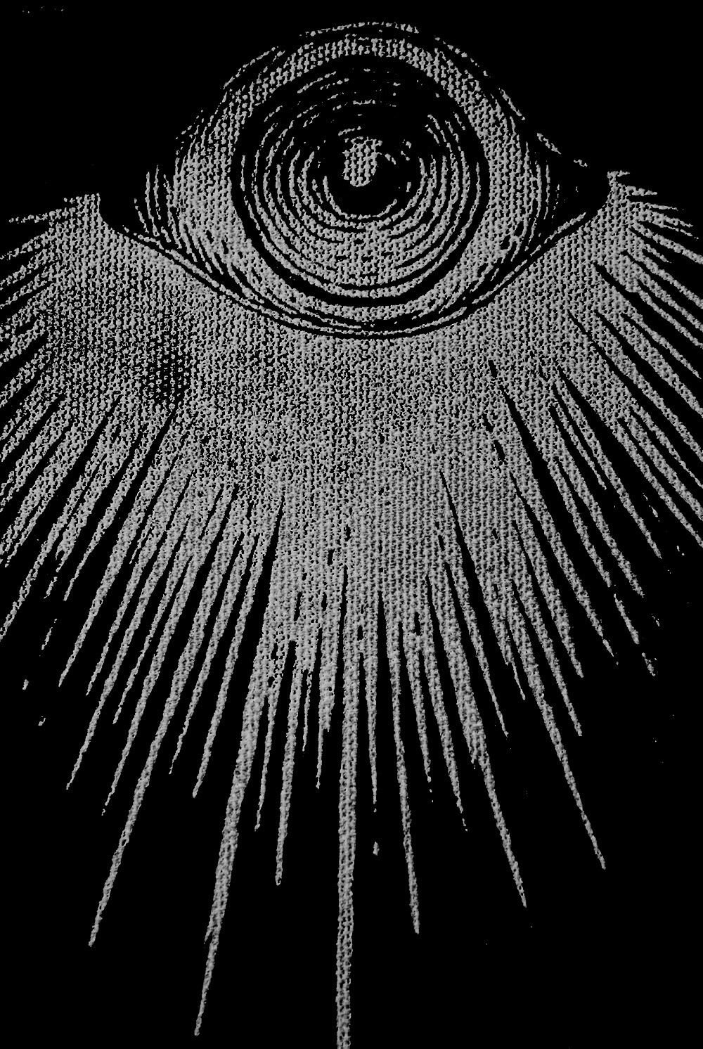 Archillect ID 281475