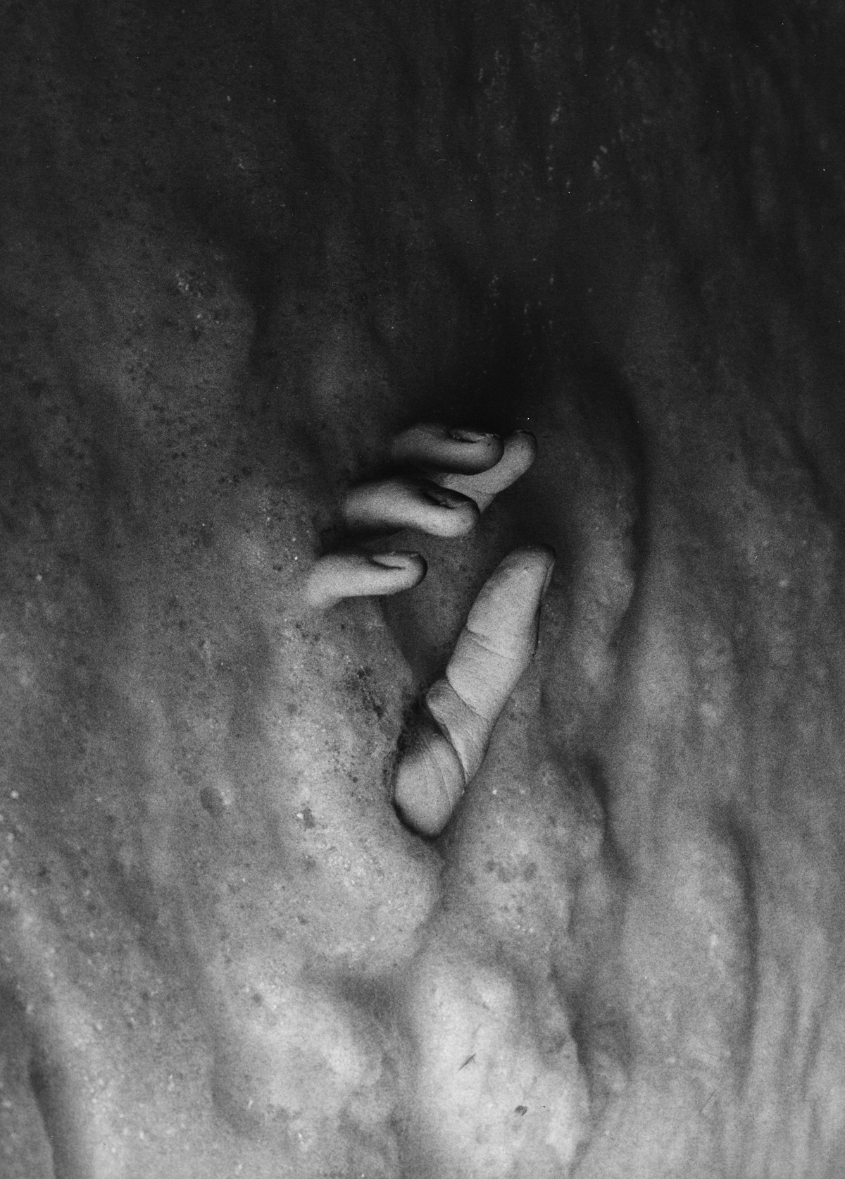 Archillect ID 281615