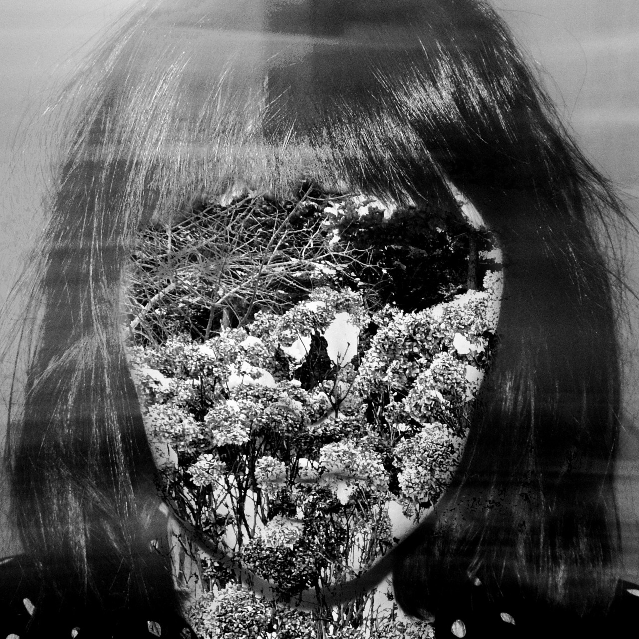 Archillect ID 281747