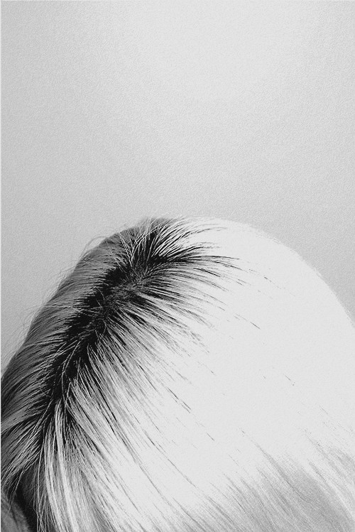 Archillect ID 281812