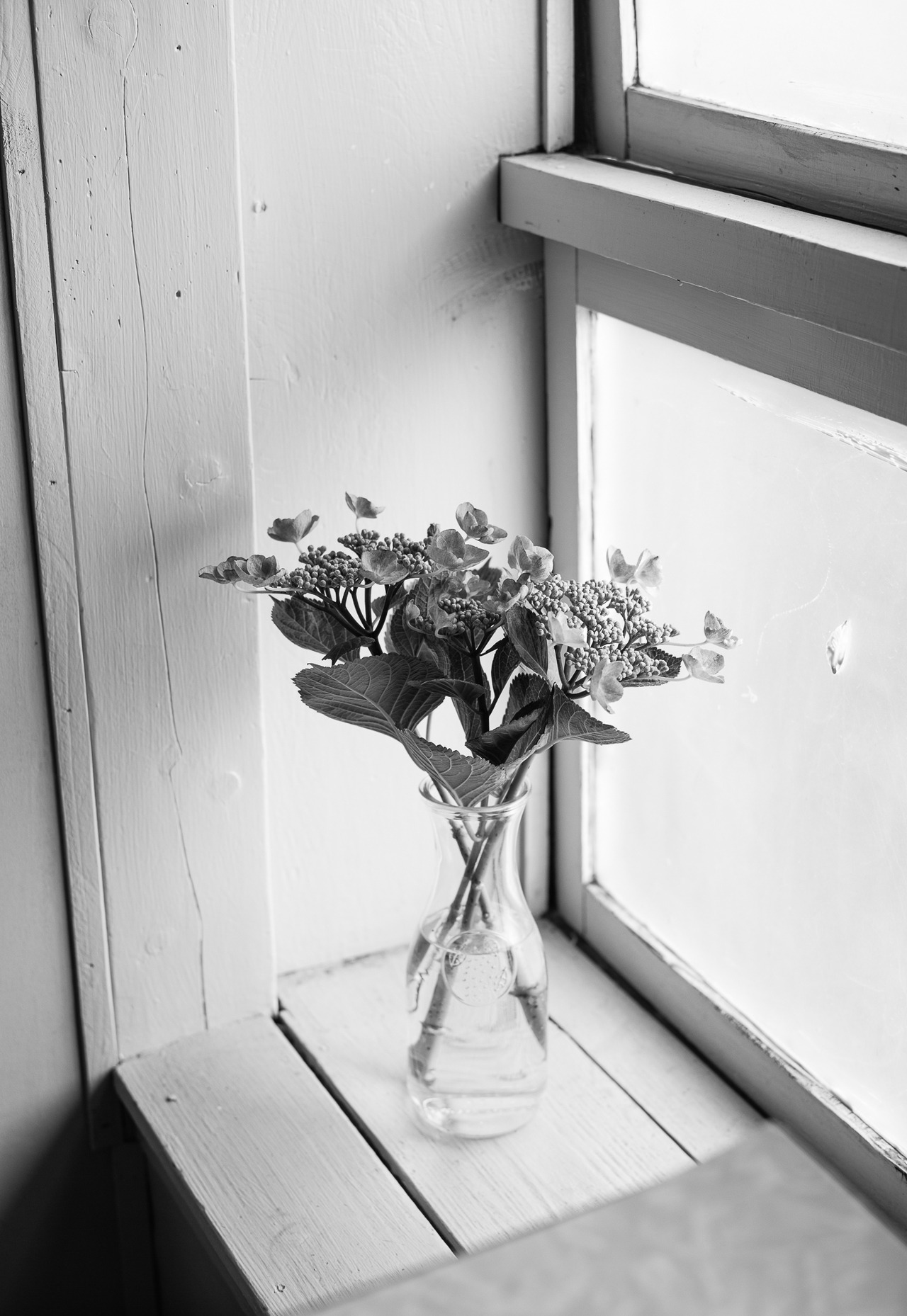 Archillect ID 281832