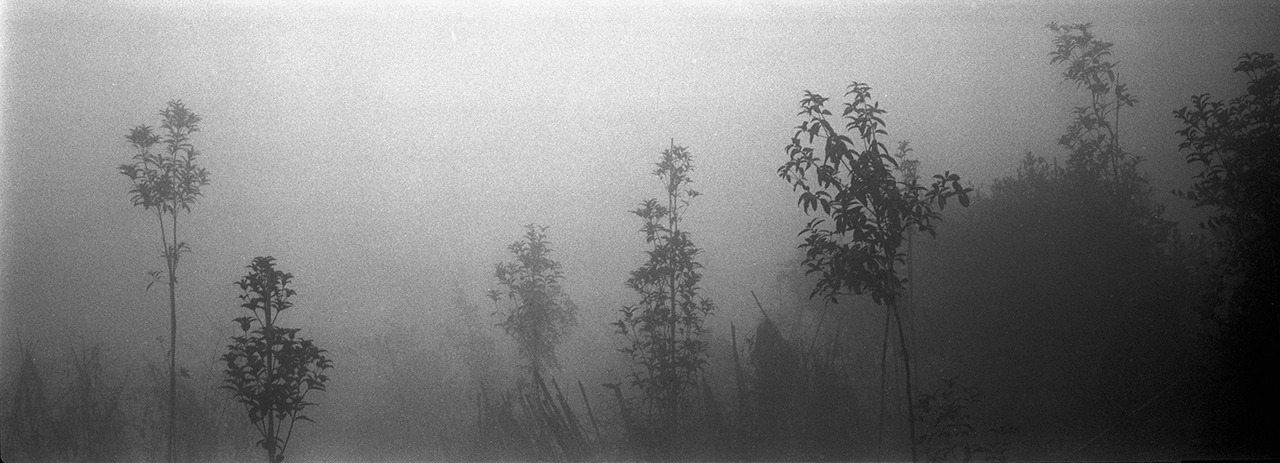 Archillect ID 282188
