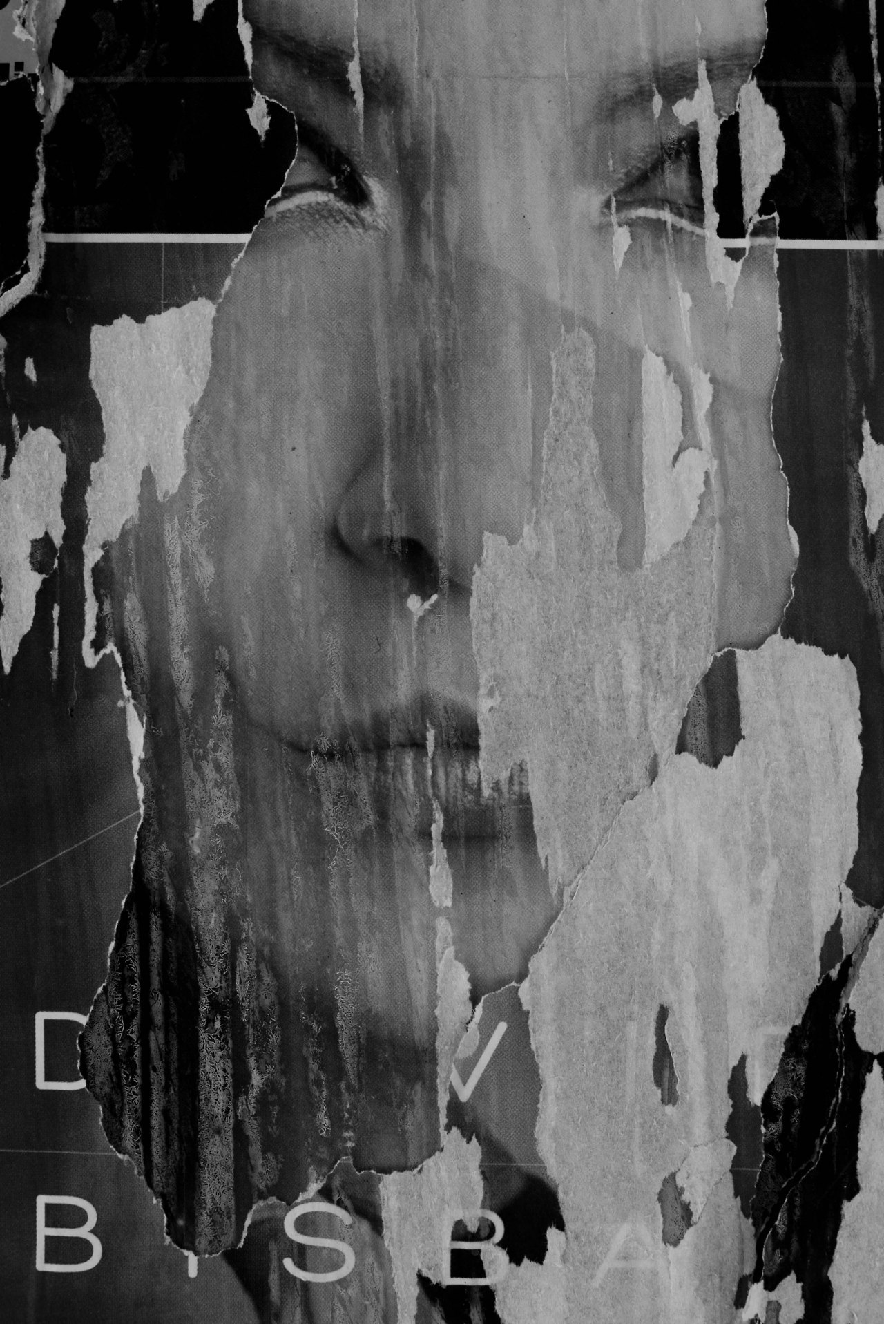 Archillect ID 282294