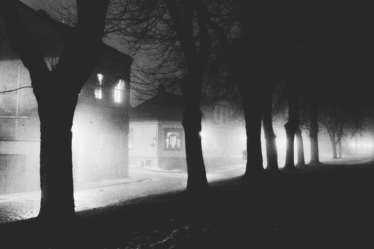Archillect ID 282423