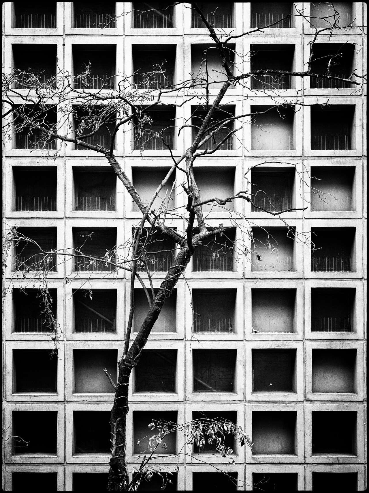 Archillect ID 282682