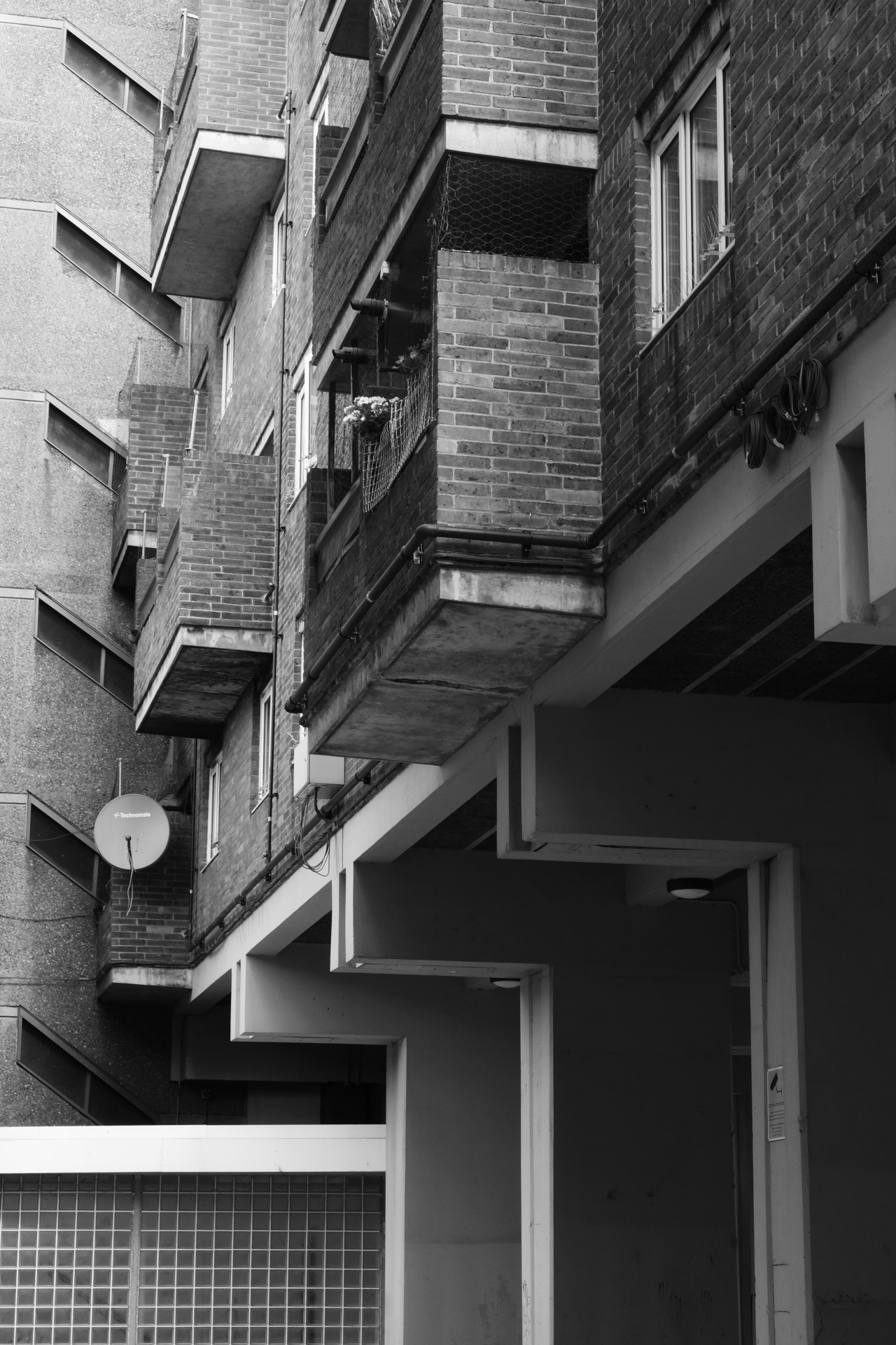 Archillect ID 282893