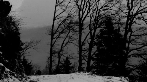 Archillect ID 283439
