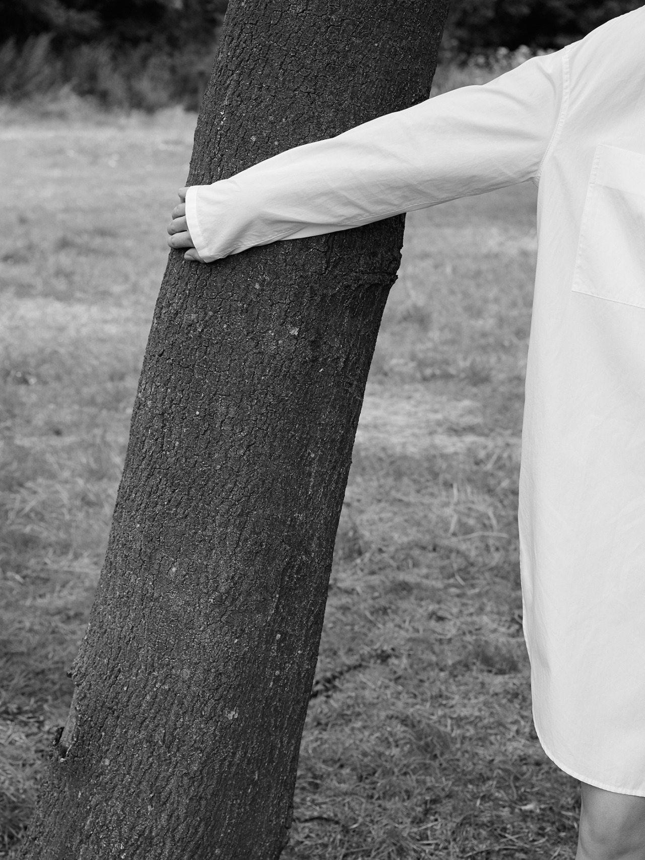 Archillect ID 283726