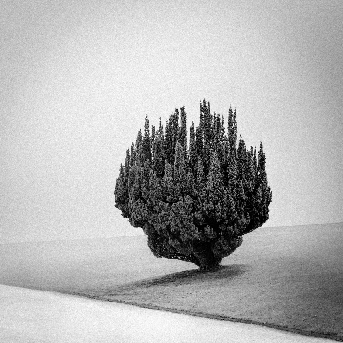 Archillect ID 284655