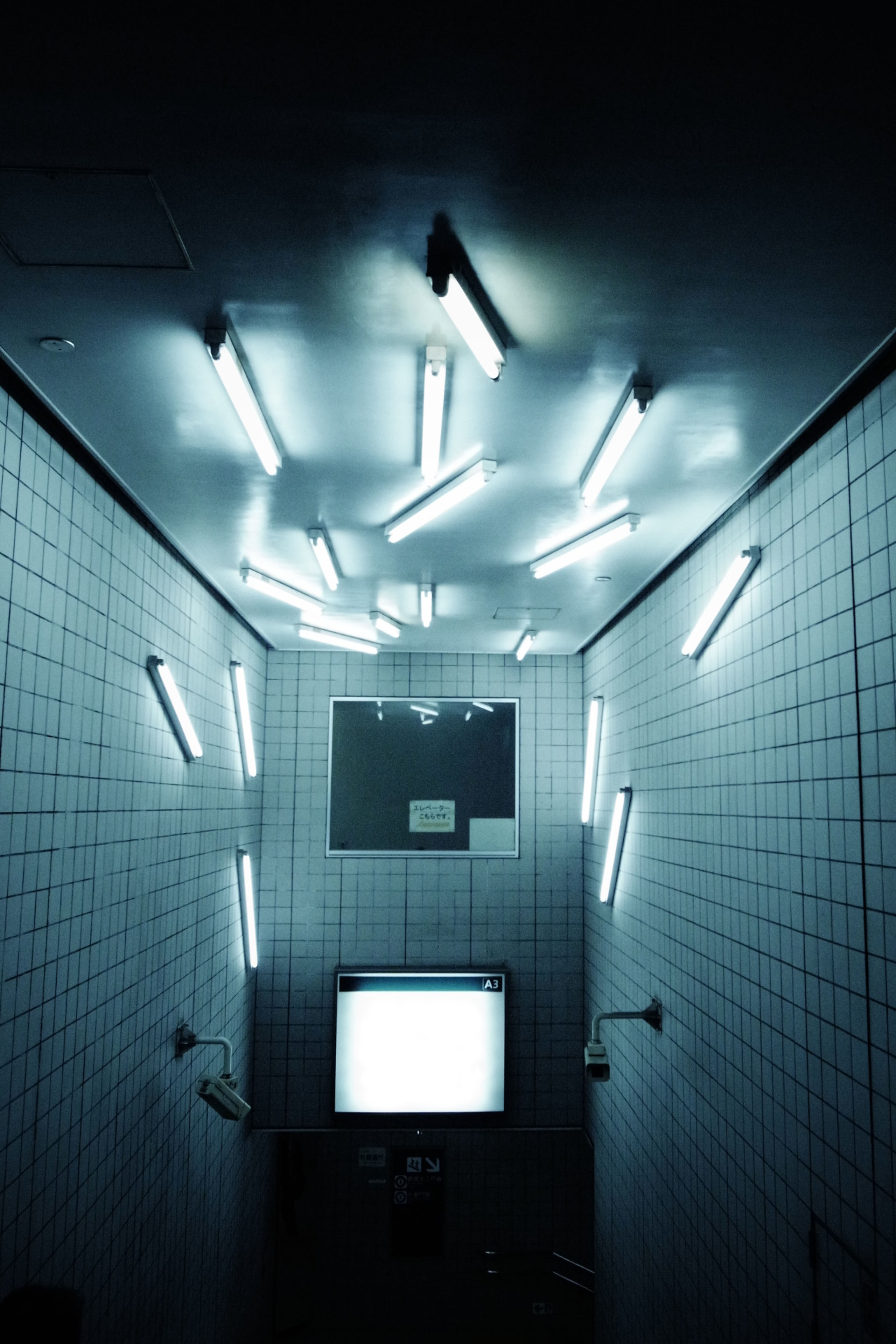Archillect ID 284950