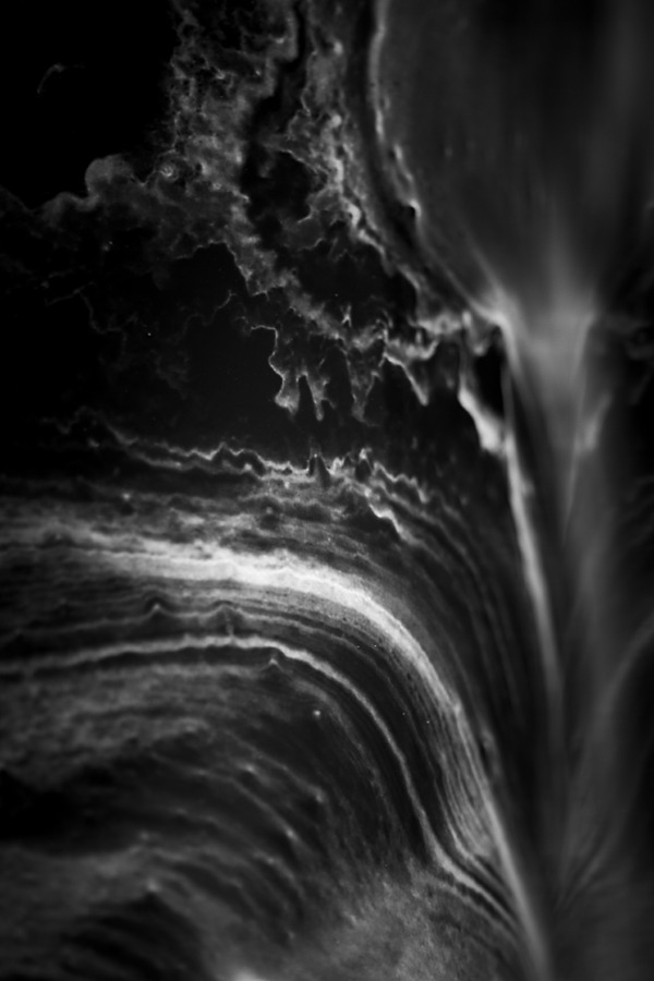 Archillect ID 285041