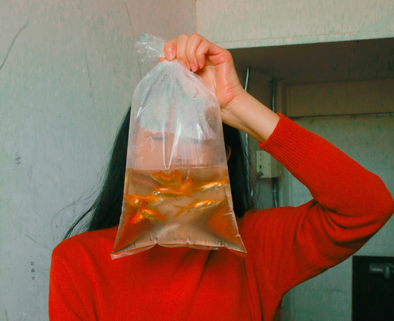 Archillect ID 285106