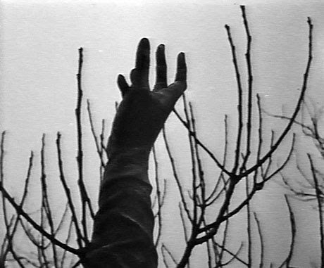 Archillect ID 285380