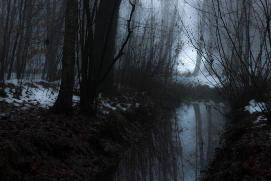 Archillect ID 285445