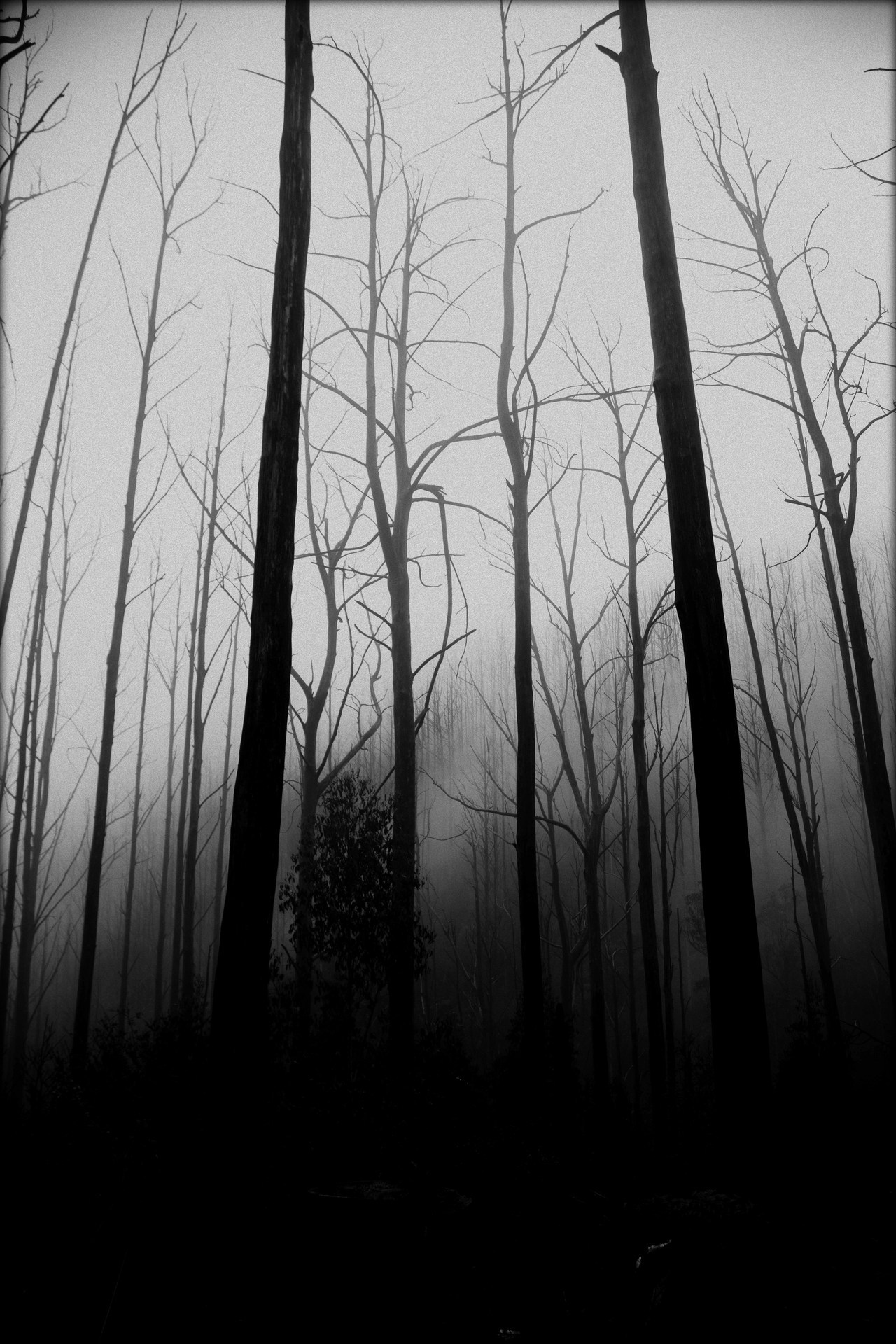 Archillect ID 285703