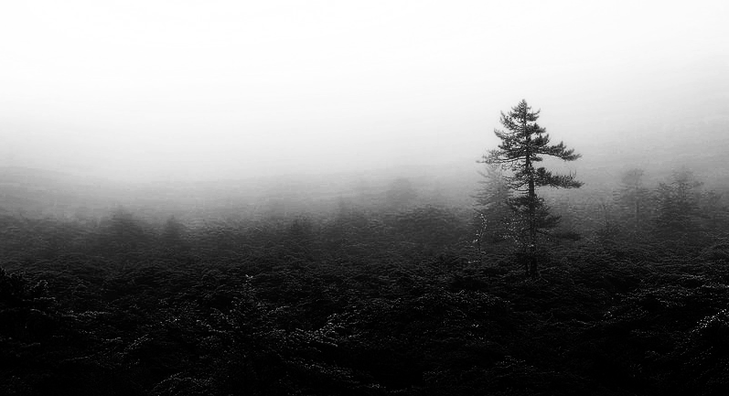 Archillect ID 285795