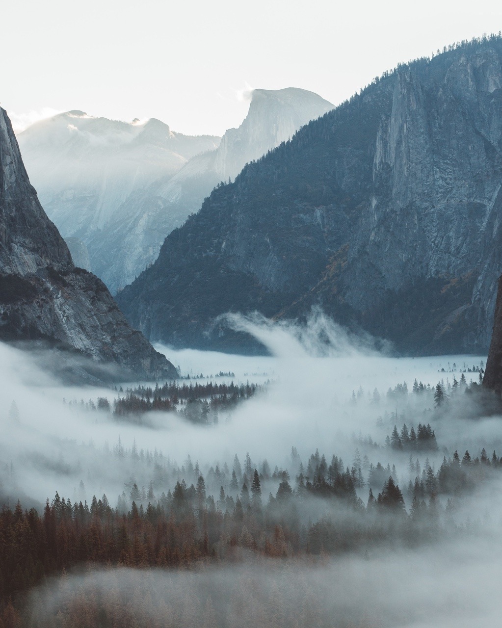 Archillect ID 285799