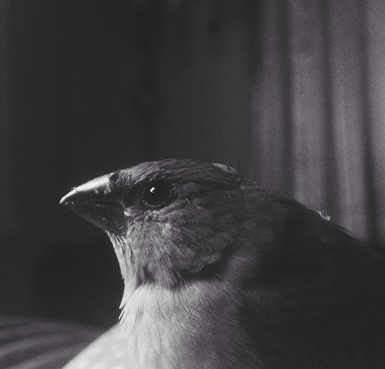 Archillect ID 286627