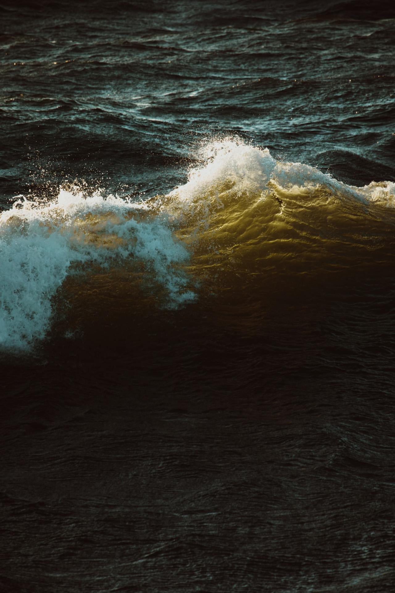 Archillect ID 286925