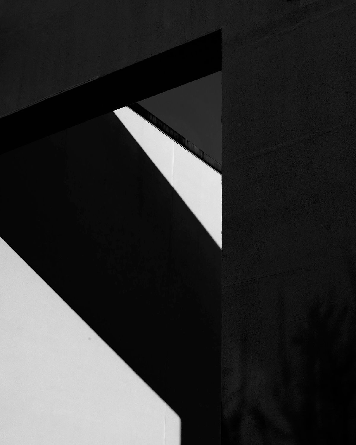 Archillect ID 287070