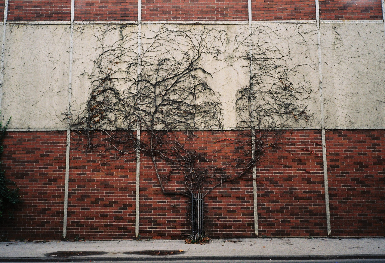 Archillect ID 287146
