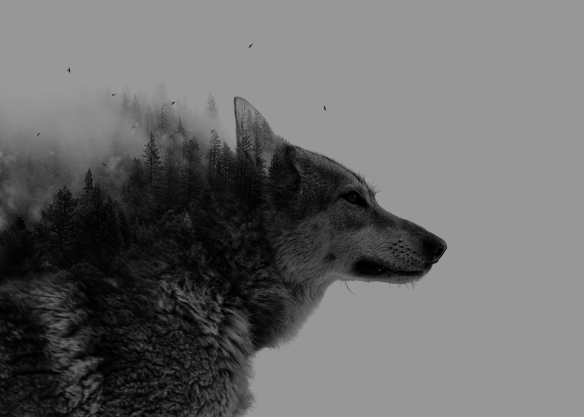 Archillect ID 287212