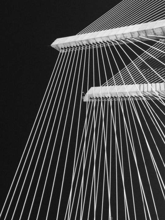 Archillect ID 287330