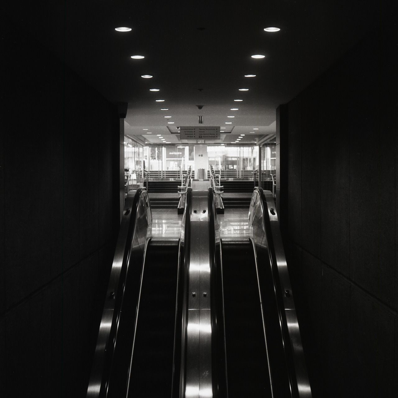 Archillect ID 287479