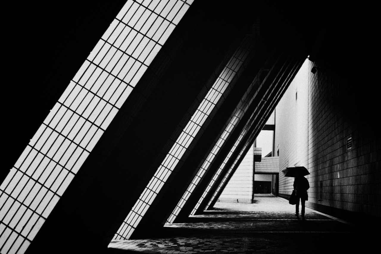 Archillect ID 287901