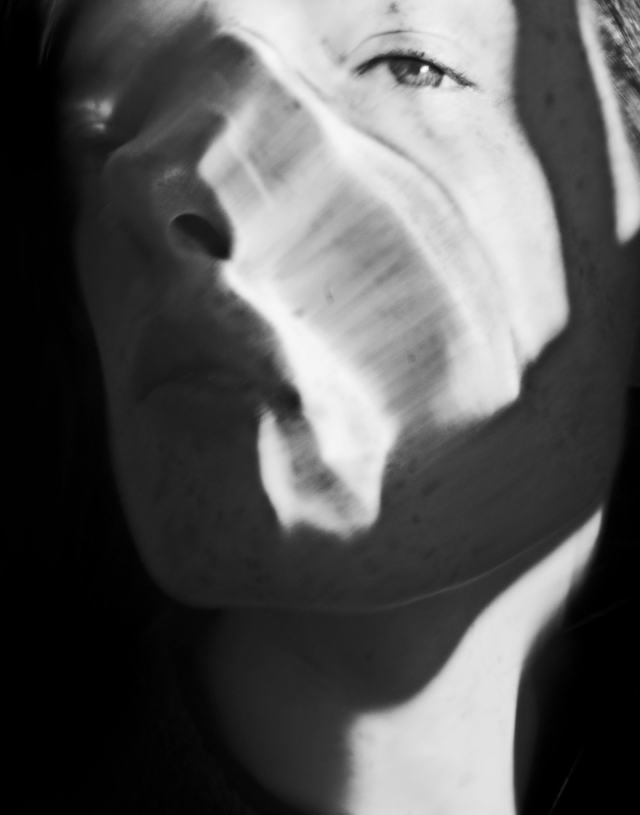 Archillect ID 288254