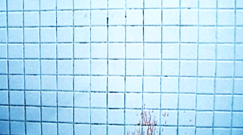 Archillect ID 288707